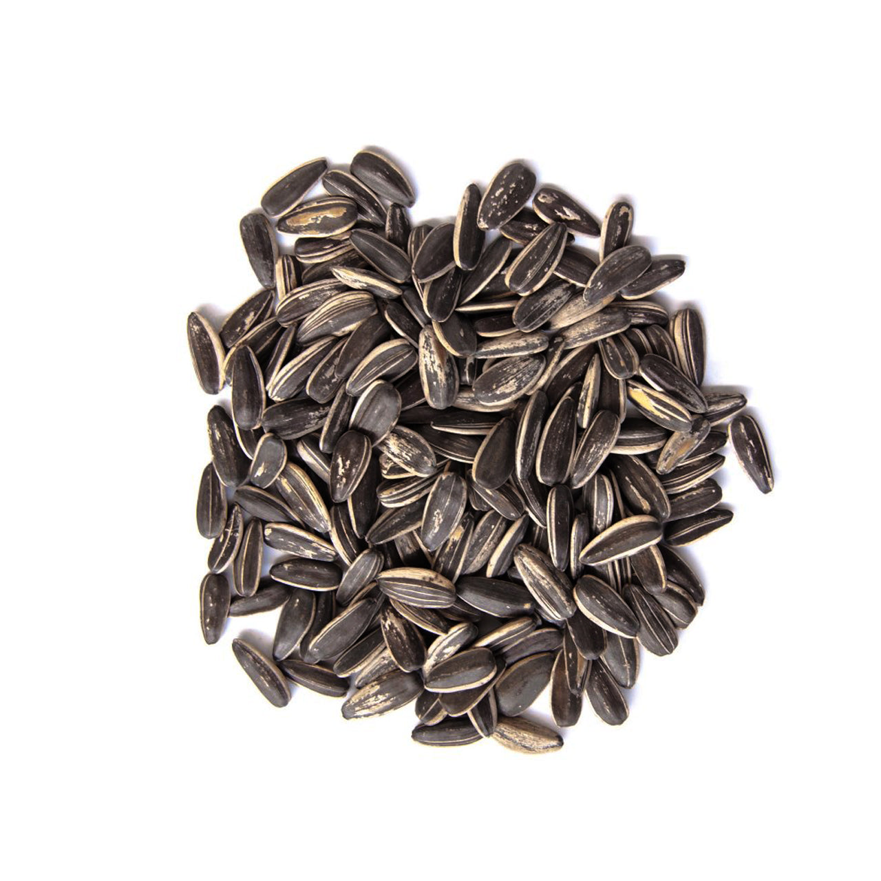 تخمه آفتابگردان