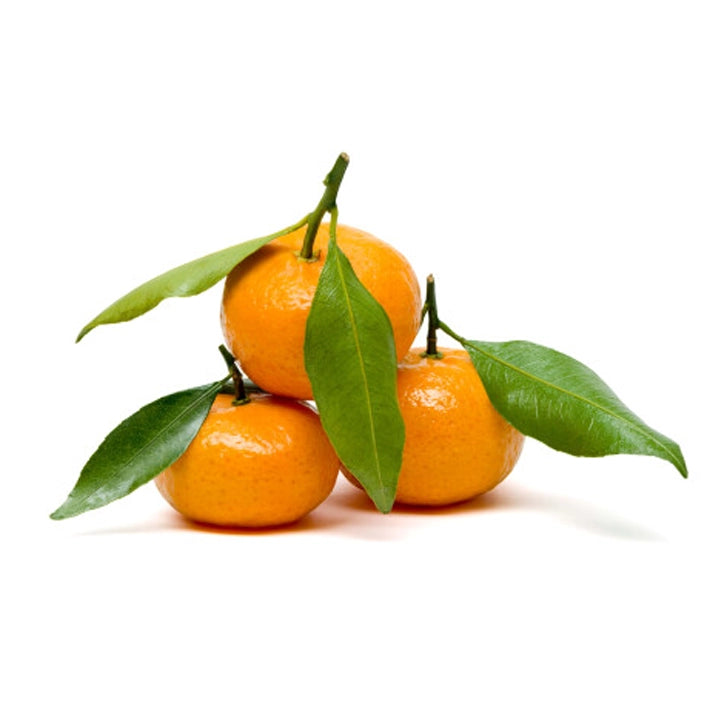 ساقه و برگ کلمنتاین