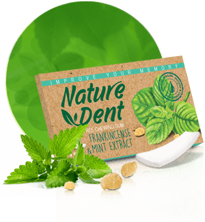 Nature Dent Gum Mint