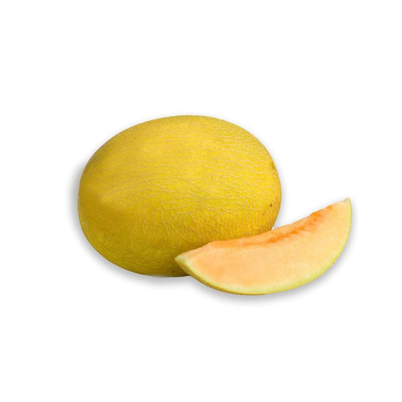 حامی ملون بزرگ