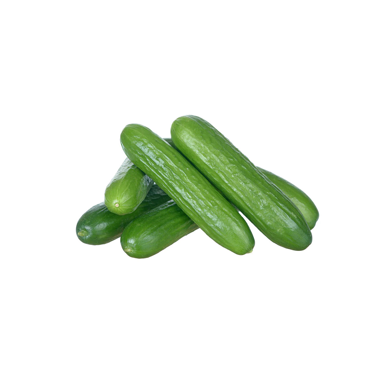 خیار مینی لوز