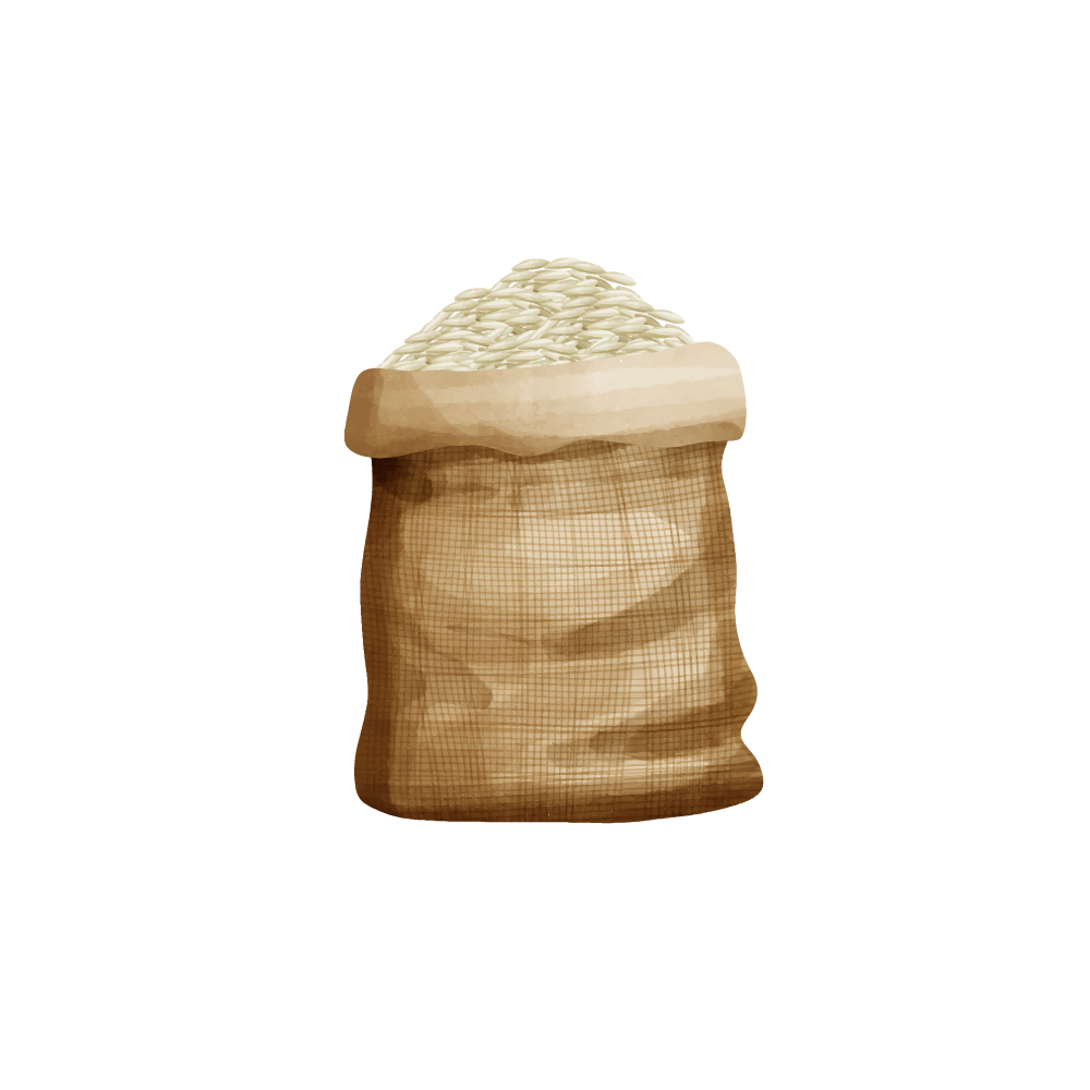 Basmati Rice