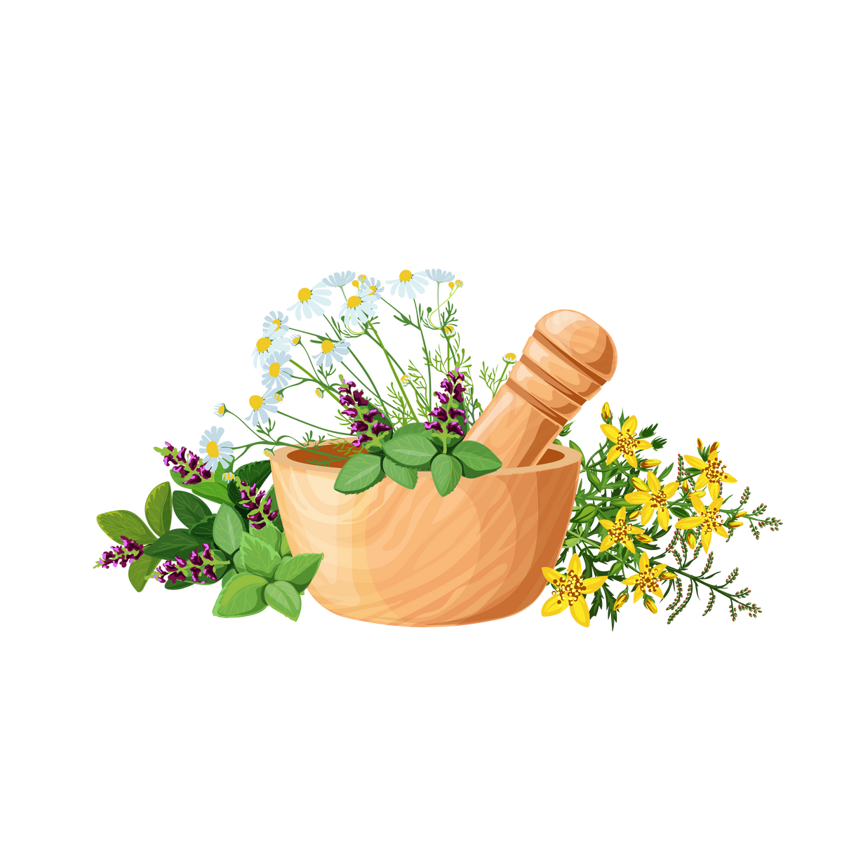 Dried Herbs