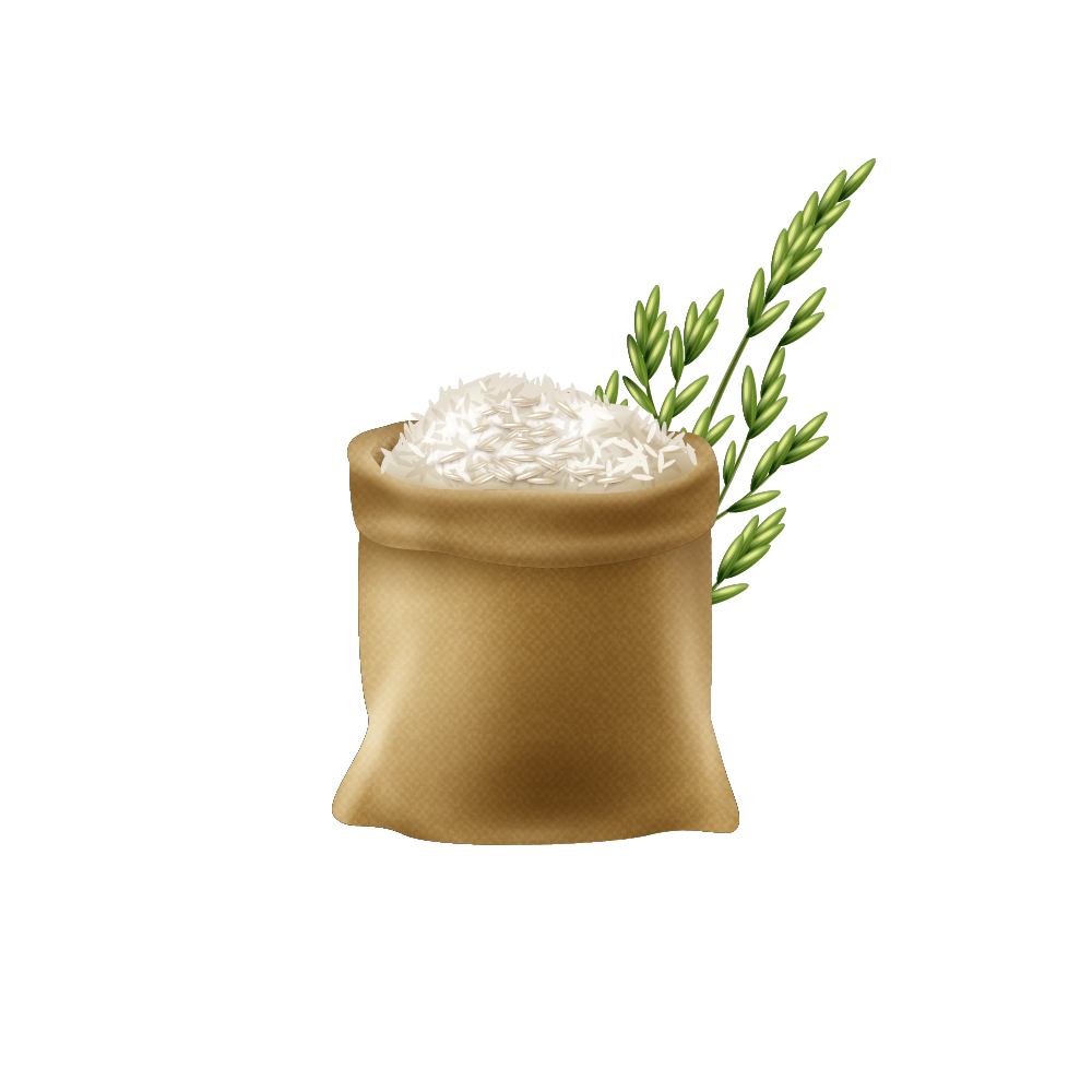 Persian Rice