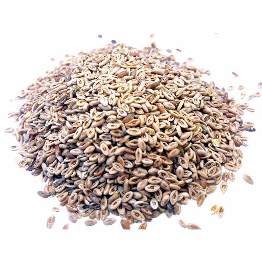 Paeez Esfarzeh Seeds 100g