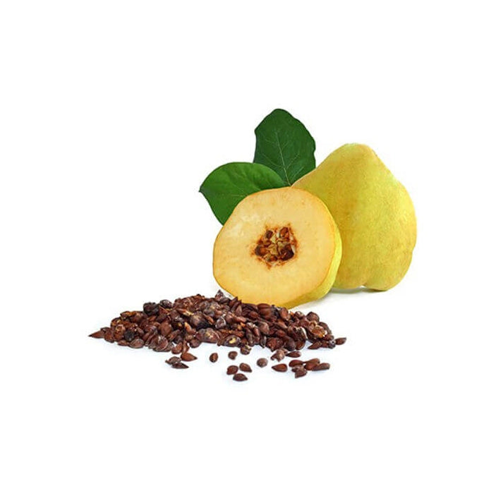Paeez Dried Behdaneh Seeds 100g