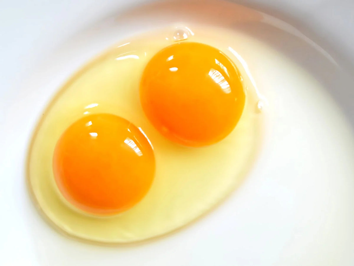 Paeez Double Yolk Eggs 20Eggs