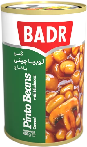 Badr Pinto Beans Mushroom 410g